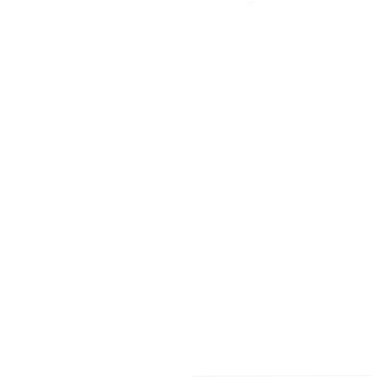 Sponsor Logo 8